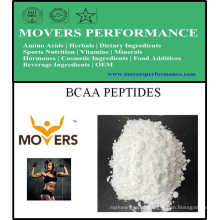 Sports Nutrition Bcaa Peptides 2: 1: 1